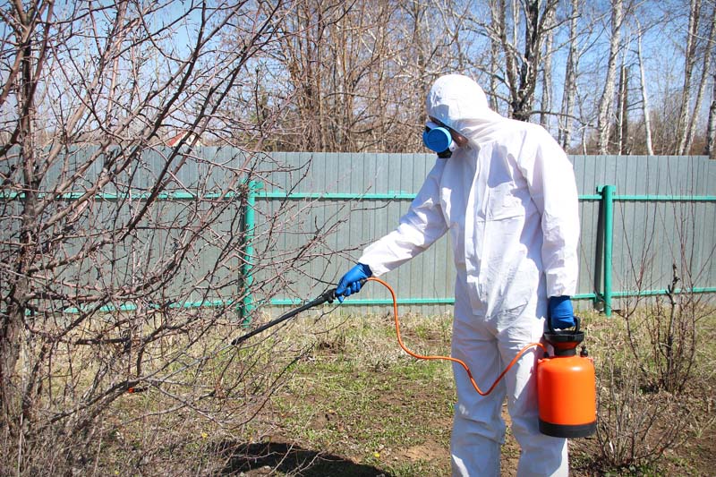 Dèsinsectisation | Nous éliminons tous les insectes avec un résultat garanti. dèsinsectisation.php
