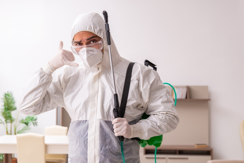 lp_support_shutterstock_1998148955.jpg Entreprise traitement anti-nuisible, Privas