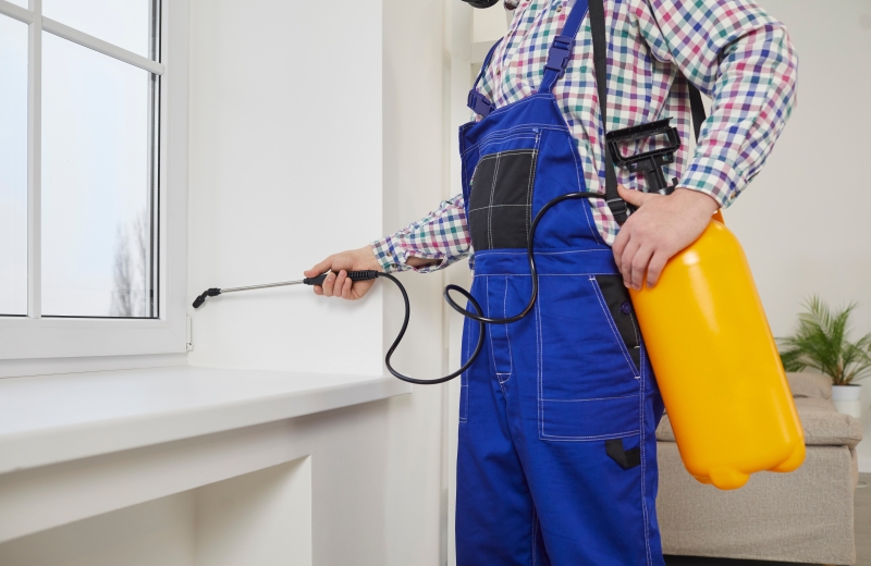 lp_support_shutterstock_2119007900.jpg Entreprise traitement anti-nuisible, Lablachère