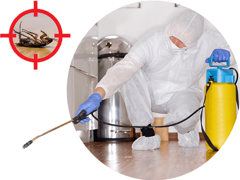 Désinsectisation Aubenas